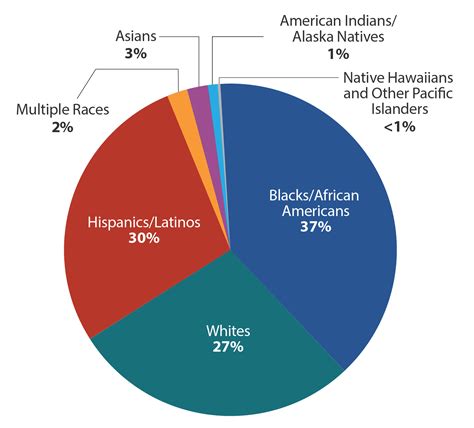 Racial Makeup Of Us Pie Chart Tutorial Pics