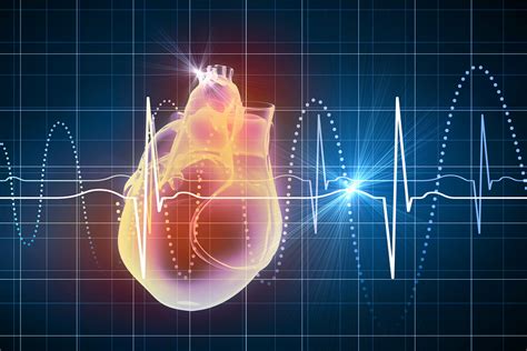 What your heart rate is telling you - Harvard Health