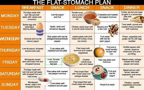 From there, it travels through the small intestine, where nutrients are absorbed. 7-Day Meal Plan To Achieve A Flat Belly | HOME GYM AND ...