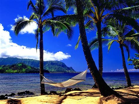 720p Free Download Hawaiian Paradise Hammock Clouds Sea Palm