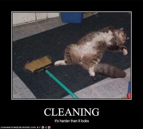 Cleaning Cheezburger Funny Memes Funny Pictures