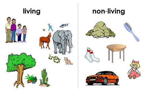 Living and non-living things | Science lessons and worksheets for children