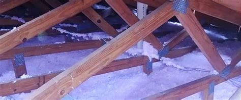 Spot and seal any leaks for best results. Attic Or Ceiling Insulation In Florida And The Importance ...