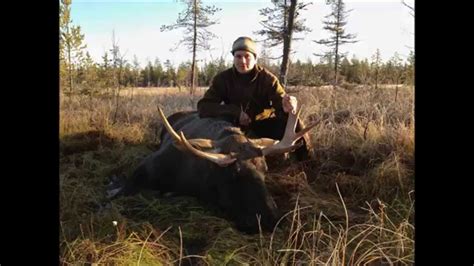 moose hunt hunting trip to sweden impressions eindrücke einer jagdreise nach schweden
