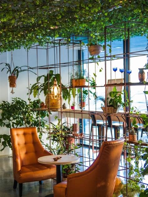 Top 4 Restaurants With Beautiful And Aesthetic Greenery Ambience