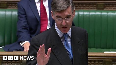 Rees Mogg Bullying Brexit Whistleblowers Says Doctor Bbc News