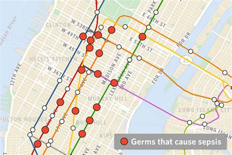 Big Data And Bacteria Mapping The New York Subways Dna Trovati Pure
