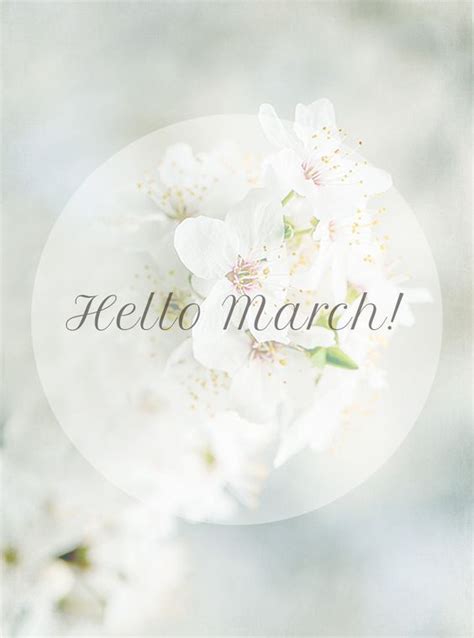 Floral Hello March Image Pictures Photos And Images For Facebook