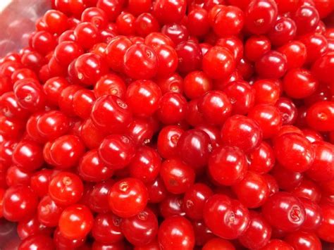 Canned Cherry Without Stem Manufacturer Supplier In Srinagar India