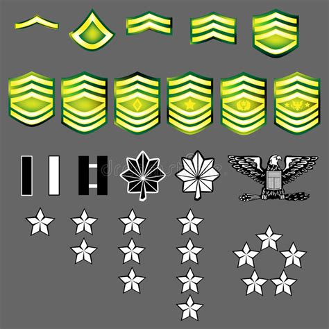 Us Army Rank Insignia Stock Vector Image Of Medal Insignia 8820849
