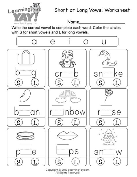Short And Long Vowels Worksheet