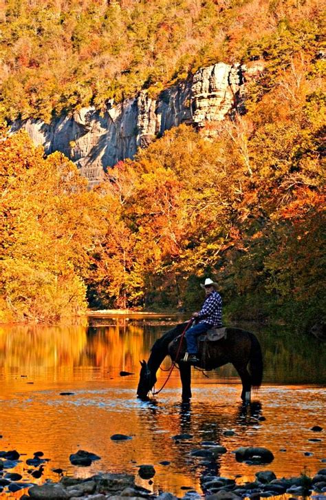 Pin By The Great River Road On Arkansas Horseback Riding River Time