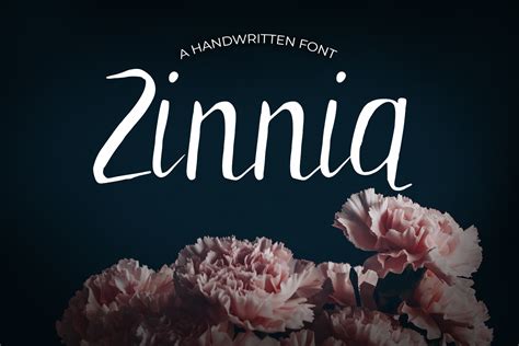 Zinnia Font By Dmdesignsstoreart · Creative Fabrica
