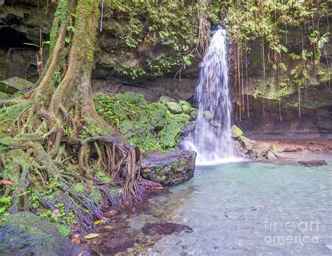 emerald pool waterfall in dominica photograph by bobby griffiths fine art america