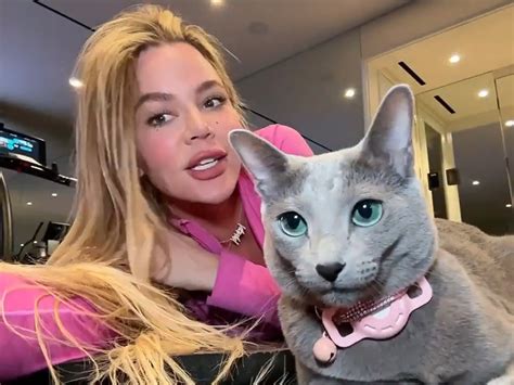 khloe kardashian accused of facetuning her cat really