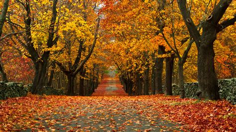 Video 28 Small Towns With The Most Beautiful Fall Foliage The
