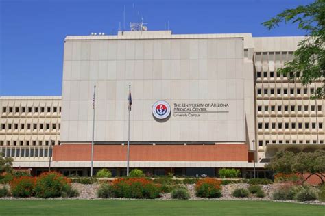University Of Arizona College Of Medicine Tucson Secondary Questions
