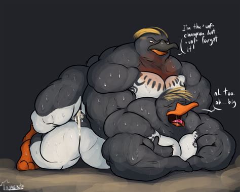 Rule 34 Anal Anal Sex Anthro Avian Big Z Bird Duo Male Muscular Penetration Penguin Surf S Up