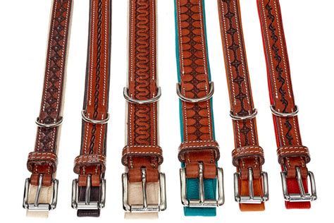 A full international with over 100 caps since 2004 for the dutch national team. Lederwaren für Hunde | Sattlerei Anouk Wächter