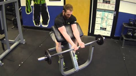 Seated Close Grip Concentration Barbell Curl Youtube