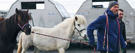 Animal Transportation Avi Icelandair Cargo