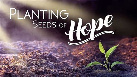 Planting Seeds Of Hope Youtube