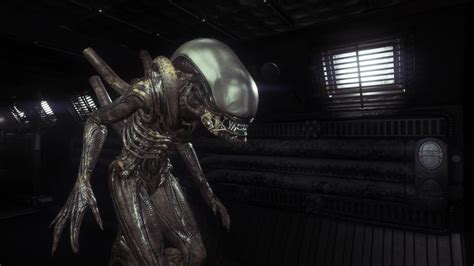 The Xenomorph In 3840x2160 Ralienisolation