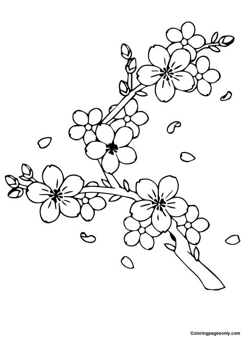 26 Free Printable Cherry Blossom Coloring Pages