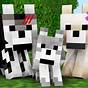 The Life Of A Wolf Minecraft