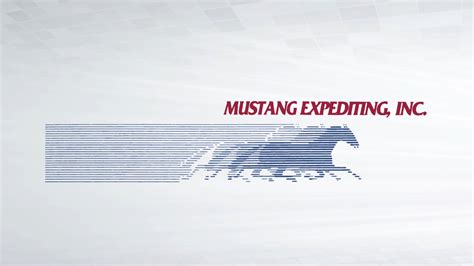 Mustang Expediting Logo On Vimeo