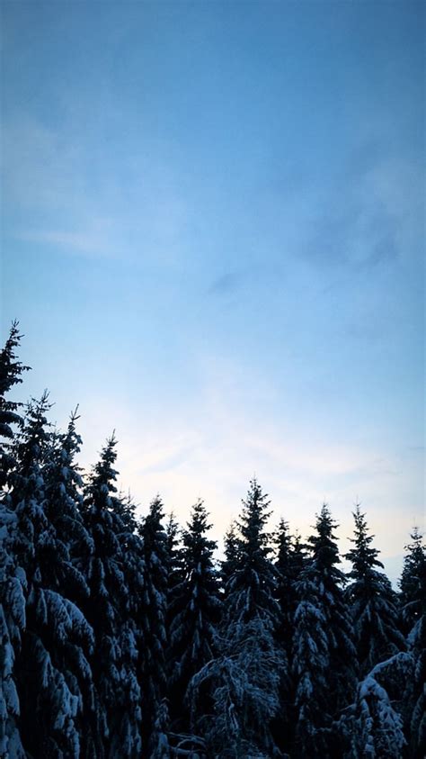 Winter ️🥶 Natural Landmarks Landmarks Nature