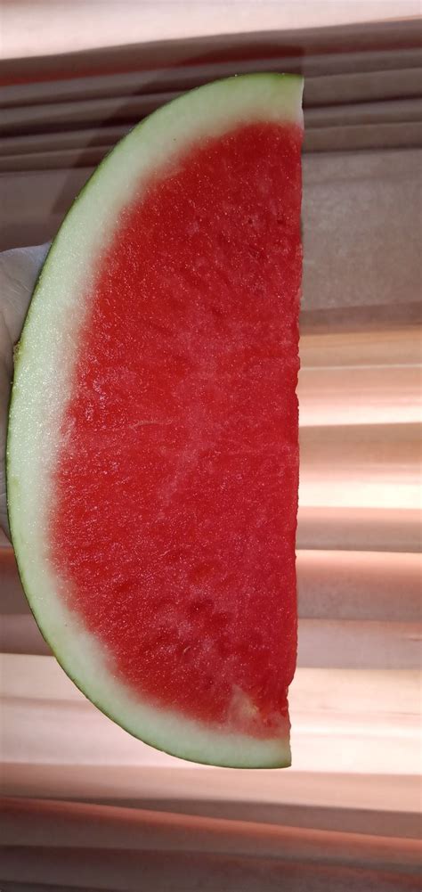 Semangka Semangka