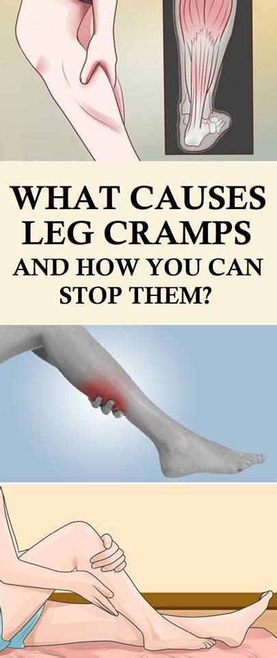 The Root Cause Of Nocturnal Leg Cramps Is Still Unknown But There Are