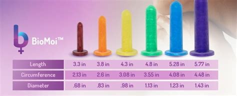 What Size Vaginal Dilator Do I Need BioMoi