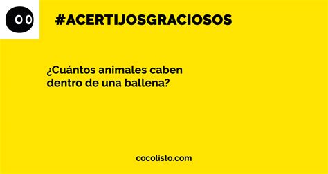 Por eso, él necesita organizar su día con imágenes. Más de 10 acertijos graciosos. (Con respuestas) - Cocolisto