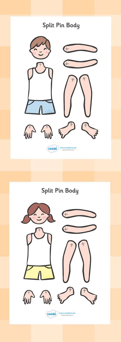 Twinkl Resources Split Pin Bodies Classroom Printables For Pre