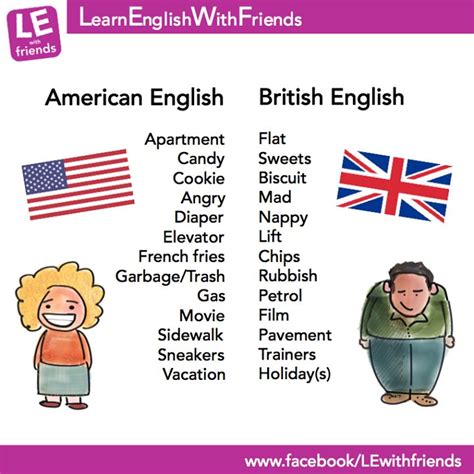 Basics English Vocabulary Words English Words Learn English Words