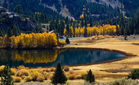Wallpaper Trees Landscape Forest Mountains Lake