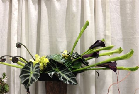 Here we are at the seattle wedding show looking at vendors and getting help planning our wedding. Green Long Stem Calla Lilies with Fern Curls, Succulents ...