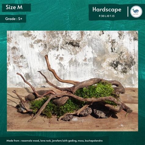 Jual Hardscape Model Akar Jungle Free Packing Free Tanaman Aquascape