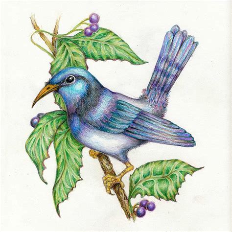 An Imaginary Bluebird Ilga Created This From A Composite Of Attributes