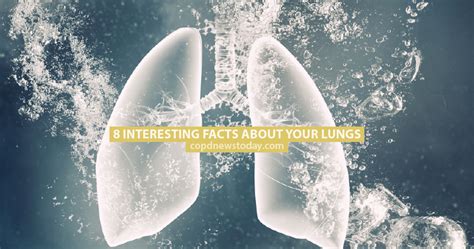 8 Interesting Facts About Your Lungs Page 5 Of 8 Copd News Today