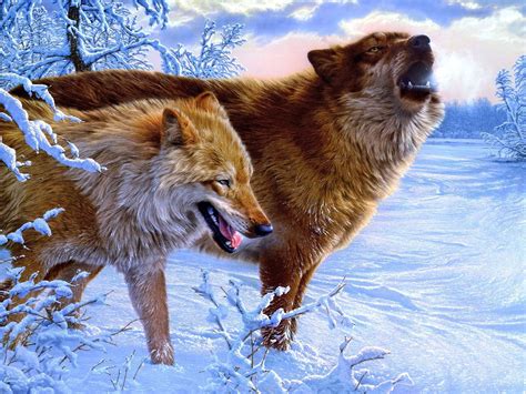 Winter Wolves Wallpapers And Images Wallpapers Pictures Photos