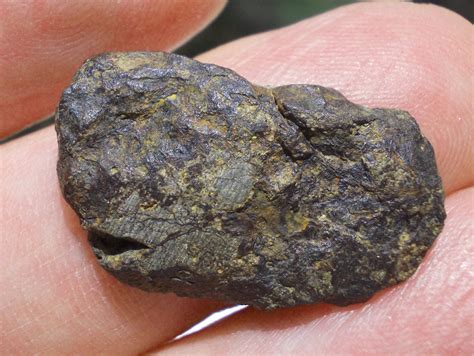 Nwa 10158 Mésosidérite 7 33 G Allmétéorite Pour La Science Et
