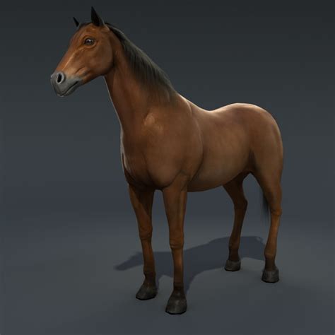 3axis.co have 192 horse dxf files for free to download or view online in 3axis.co dxf online viewer. 3d model of horse