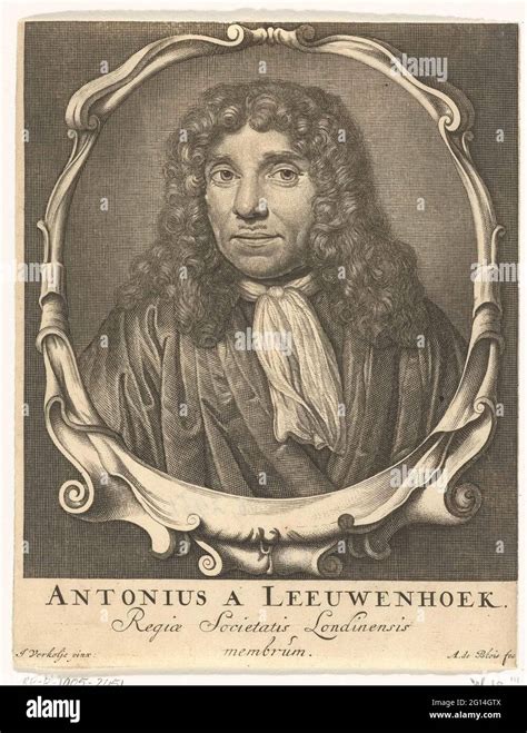 Portrait Of Antonie Van Leeuwenhoek Antonius A Leeuwenhoek Regiae