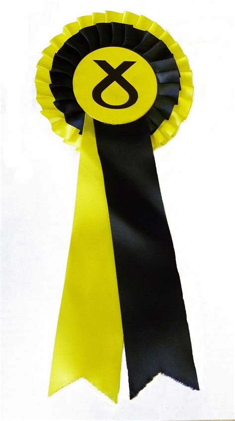 Snp Rosette Scottish Elections 2011 Accession Number Spa Flickr