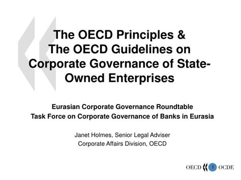 This is the best video of the principles of corporate governance. PPT - The OECD Principles & The OECD Guidelines on ...