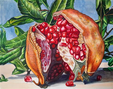 Pomegranate Fruit Original Watercolor Art Painting Red Etsy