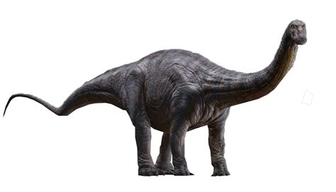 Jurassic World Apatosaurus Render 4 By Tsilvadino On Deviantart